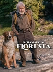 O Chamado da Floresta