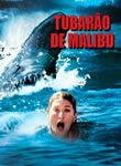 Tubarão de Malibu